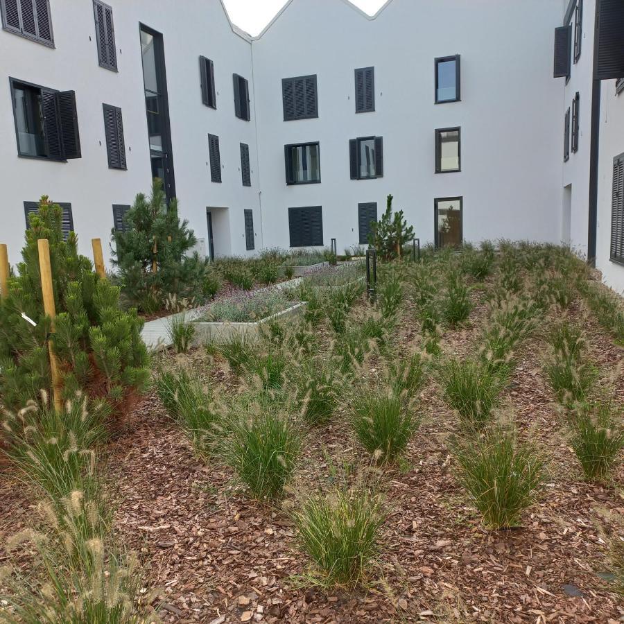 Apartament Orlando W Porto Leba 350M Od Morza Exterior foto